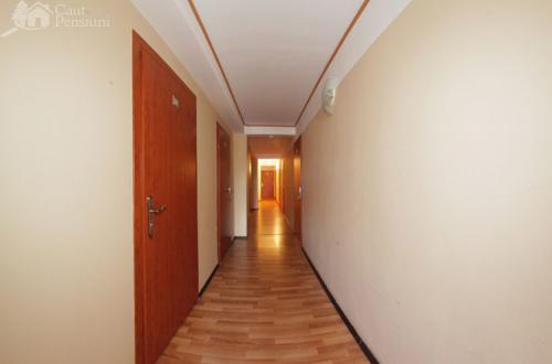Pensiunea Ivu Si Raul Giroc Exterior photo